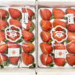久能山石垣いちごデラックス（みくのか・さつまおとめ）【1～2箱セット